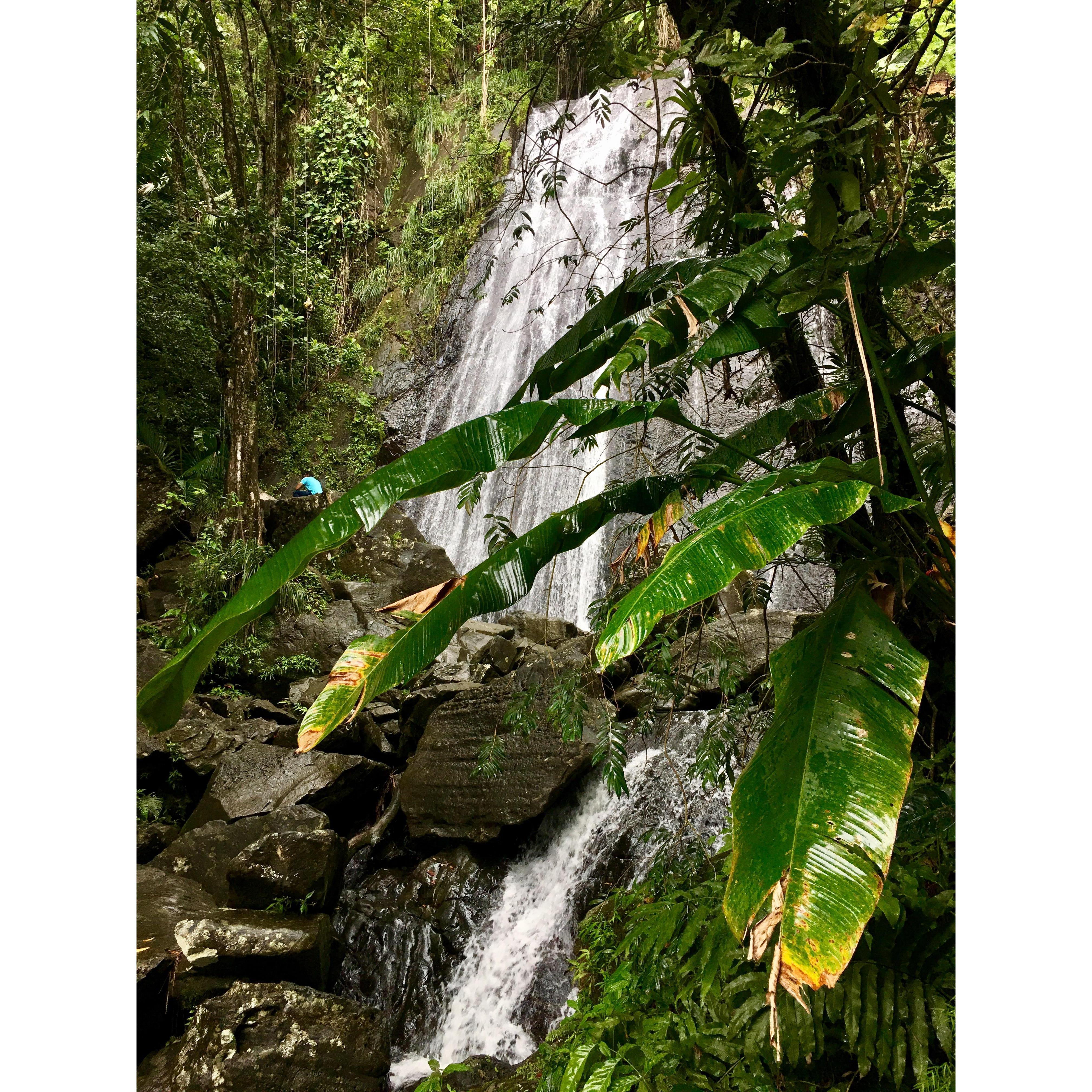 Puerto Rico- 2016