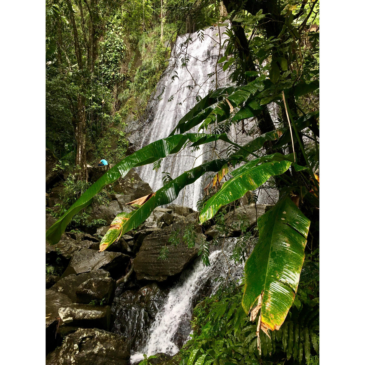 Puerto Rico- 2016