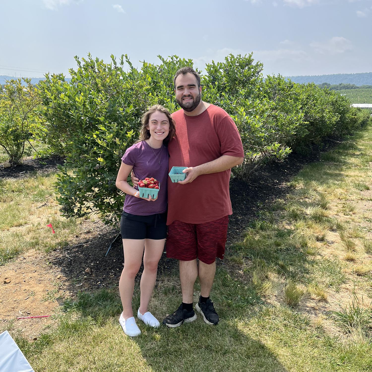 Berry picking in West Virginia!