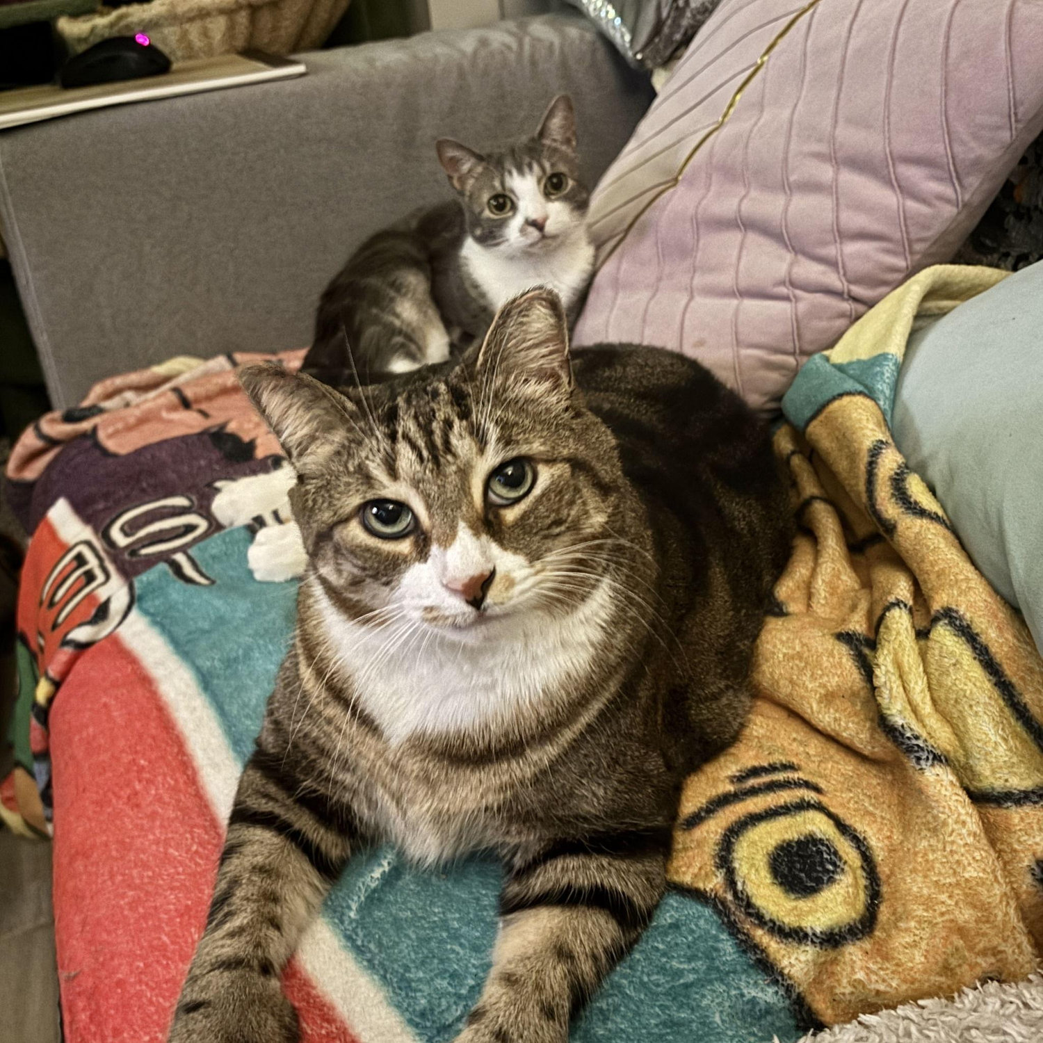 Gus and Doughboy (he's not really that small)