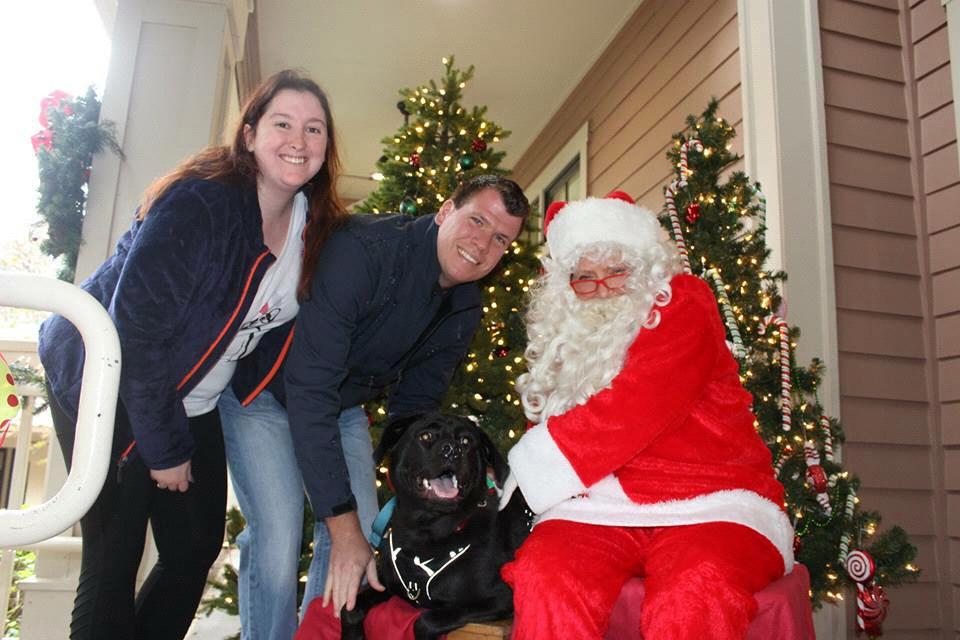 Shifu's first Christmas. George joined the family a couple of days later.