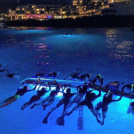 Manta Ray Night Dive in Kona