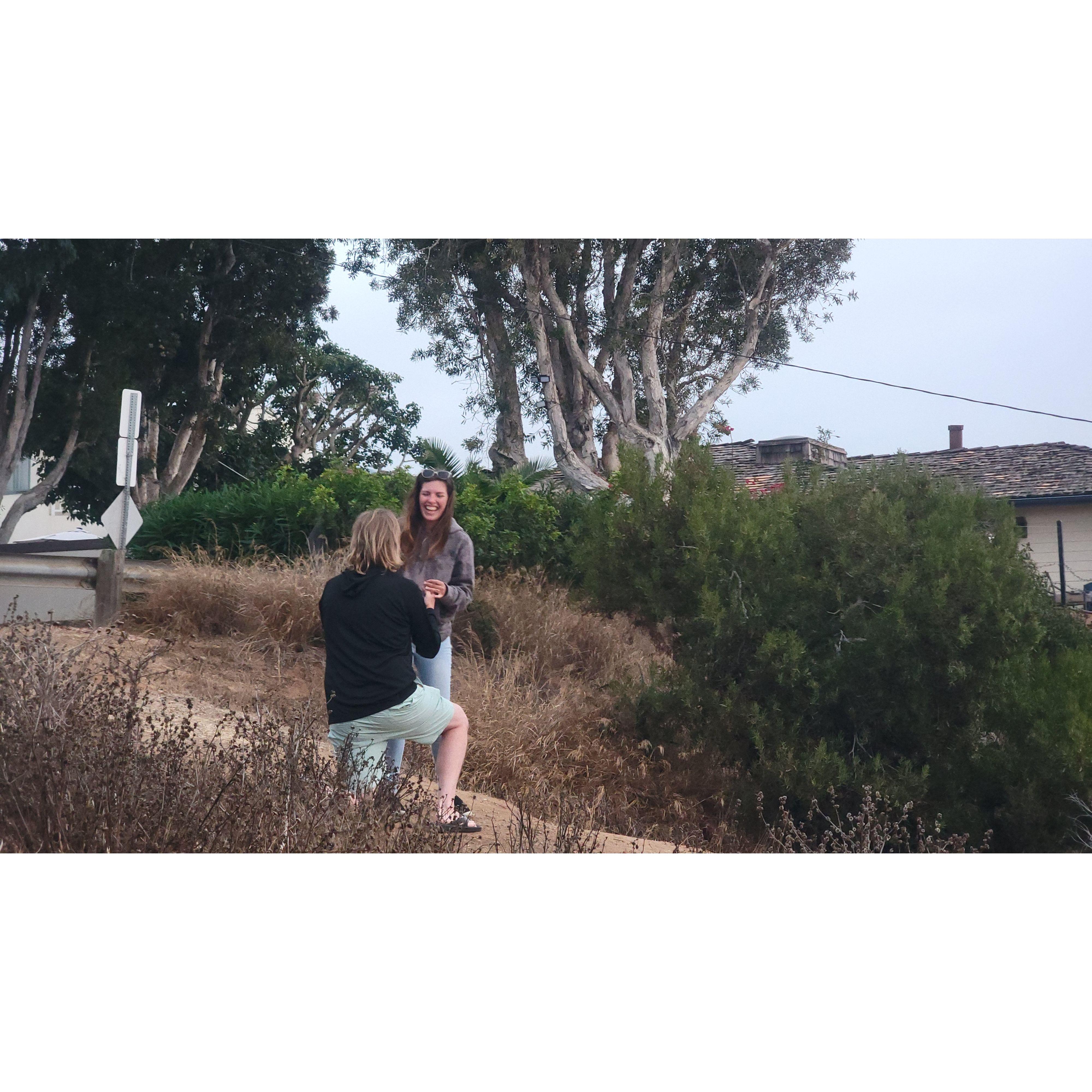 Jon's proposal, taken from other bushes :)