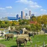 Denver Zoo