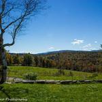 Sugarbush Farm