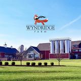 Wyndridge Farm