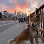 Stone Arch Bridge