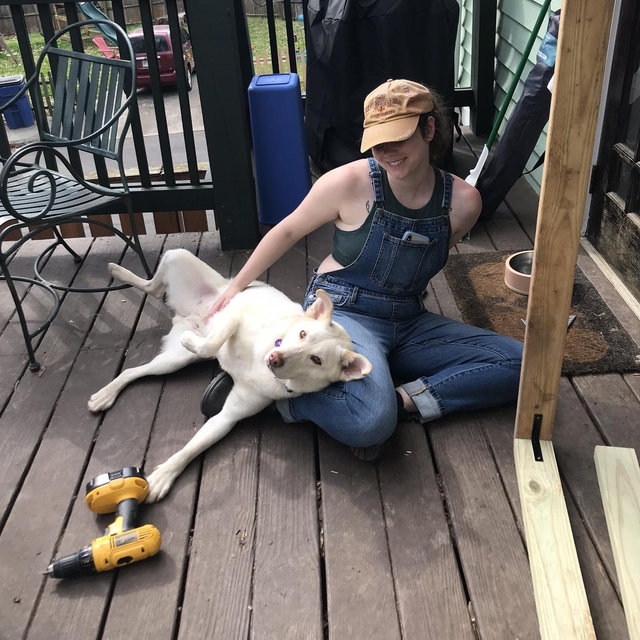 Home Renovations