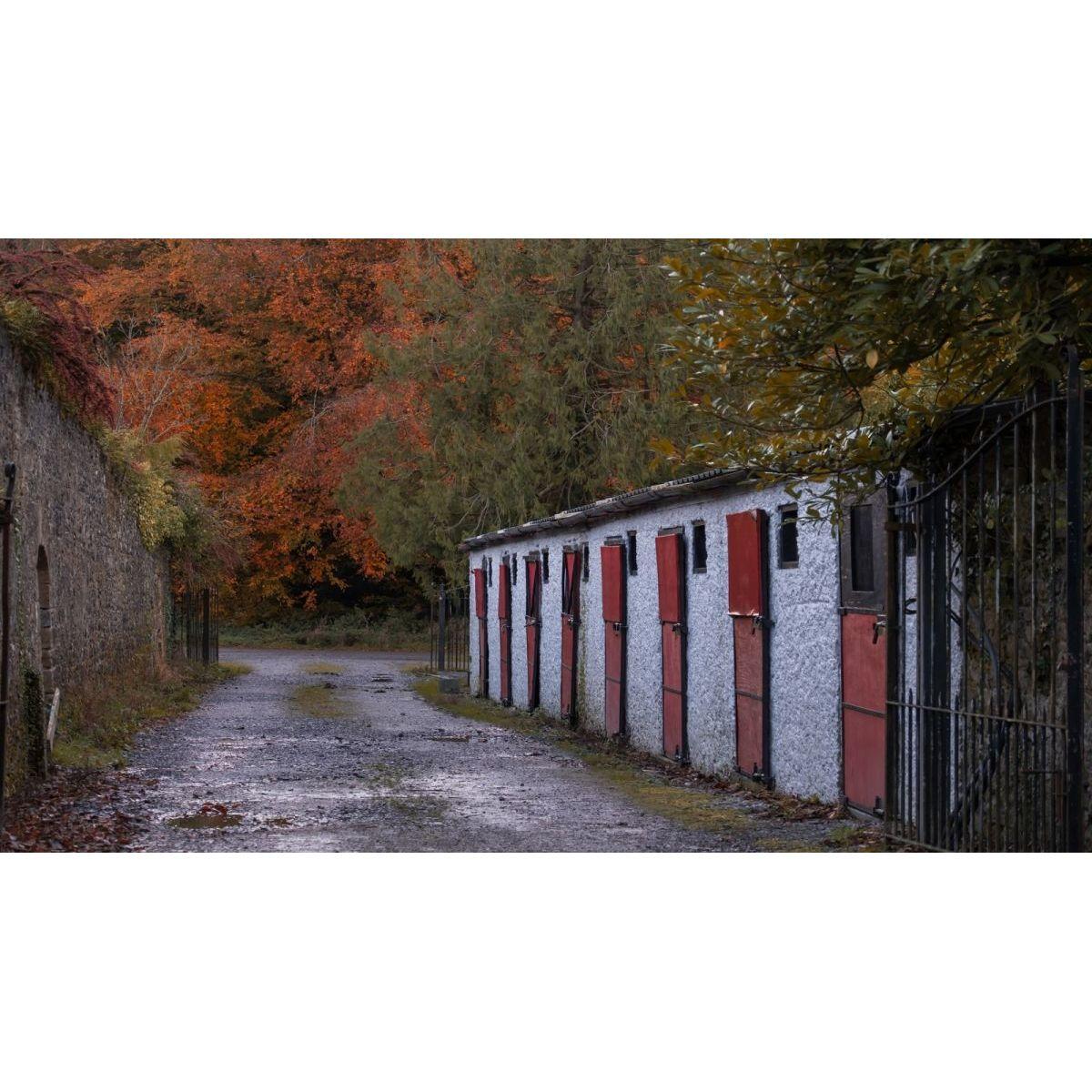 Stables - Horse back riding will be available for extra activities