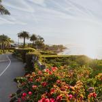 Butterfly Beach