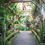 Myriad Botanical Gardens