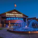 Wonders Of Wildlife National Museum & Aquarium