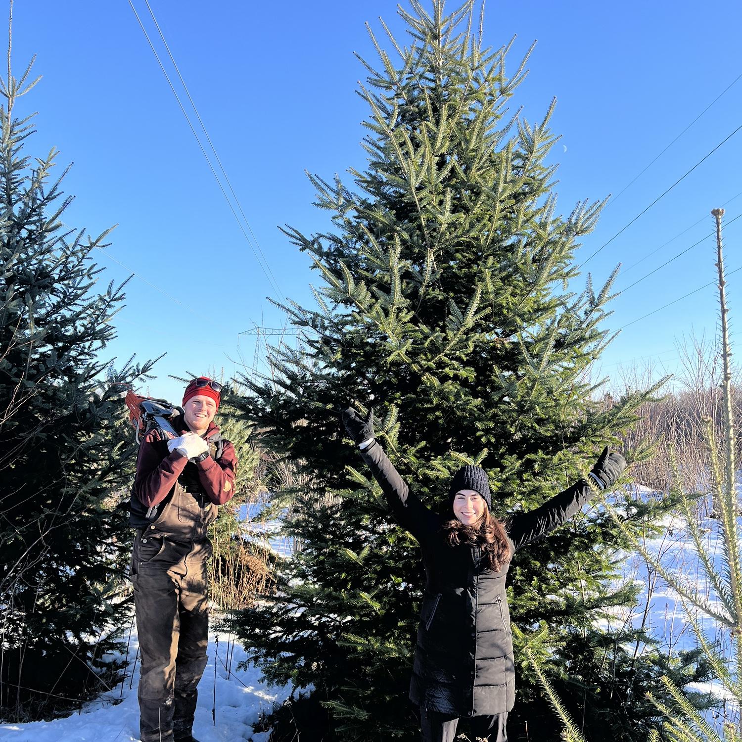 First Christmas tree for our home