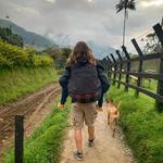 Salento and the Coffee Region/ Salento y el Eje Cafetero