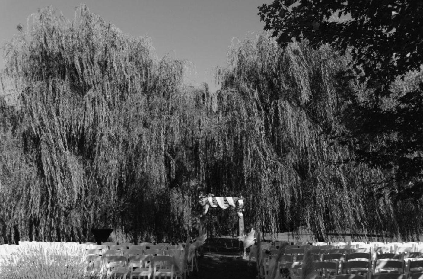 The Wedding Website of Emily Kraus and Joseph Sullivan
