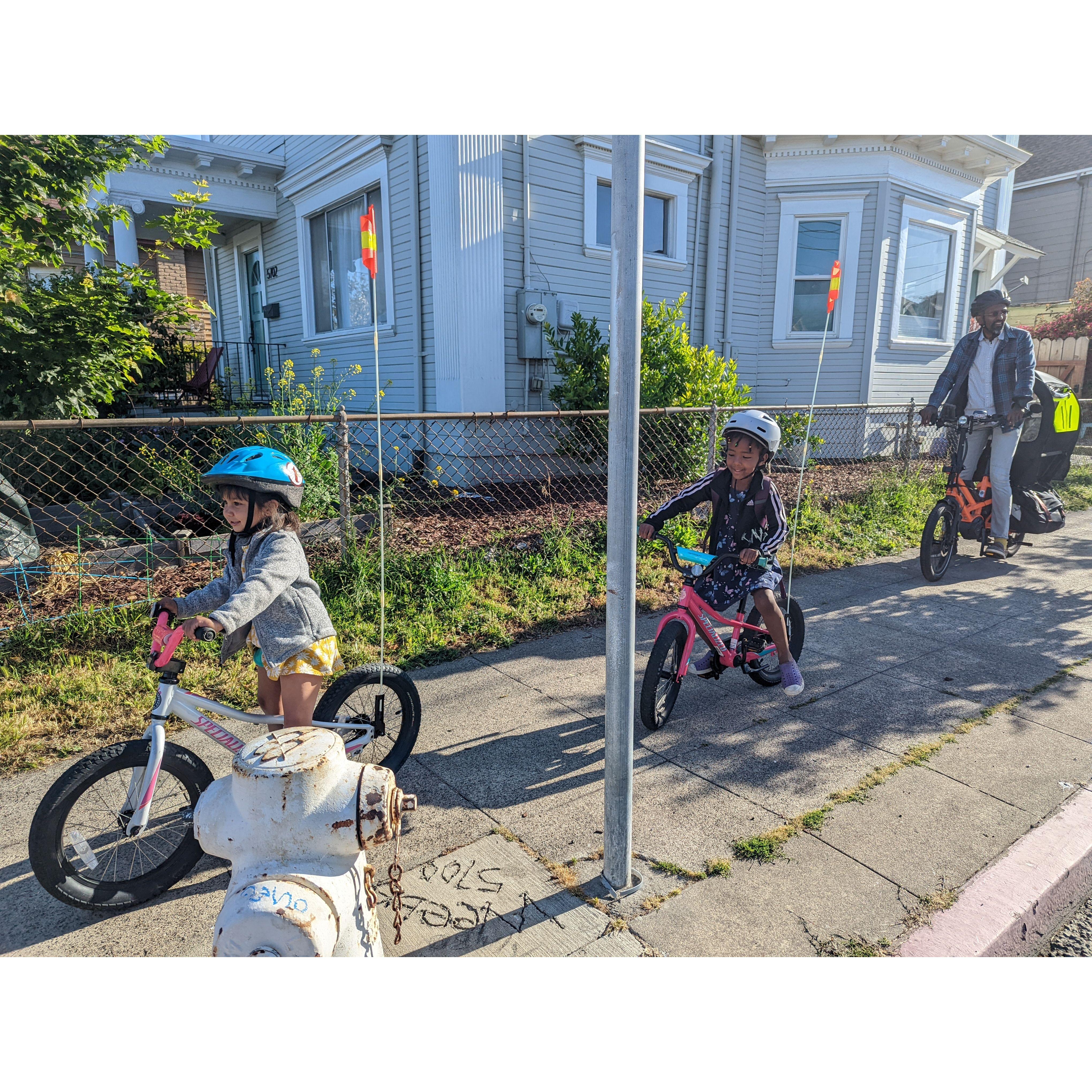 Honey and Lula learned to ride bikes the same day as each other!