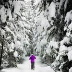 Odell Lake Lodge & Resort