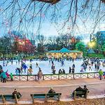 Boston Common Frog Pond