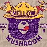 Mellow Mushroom - Gatlinburg