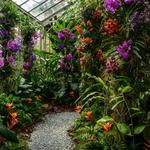 Marie Selby Botanical Gardens