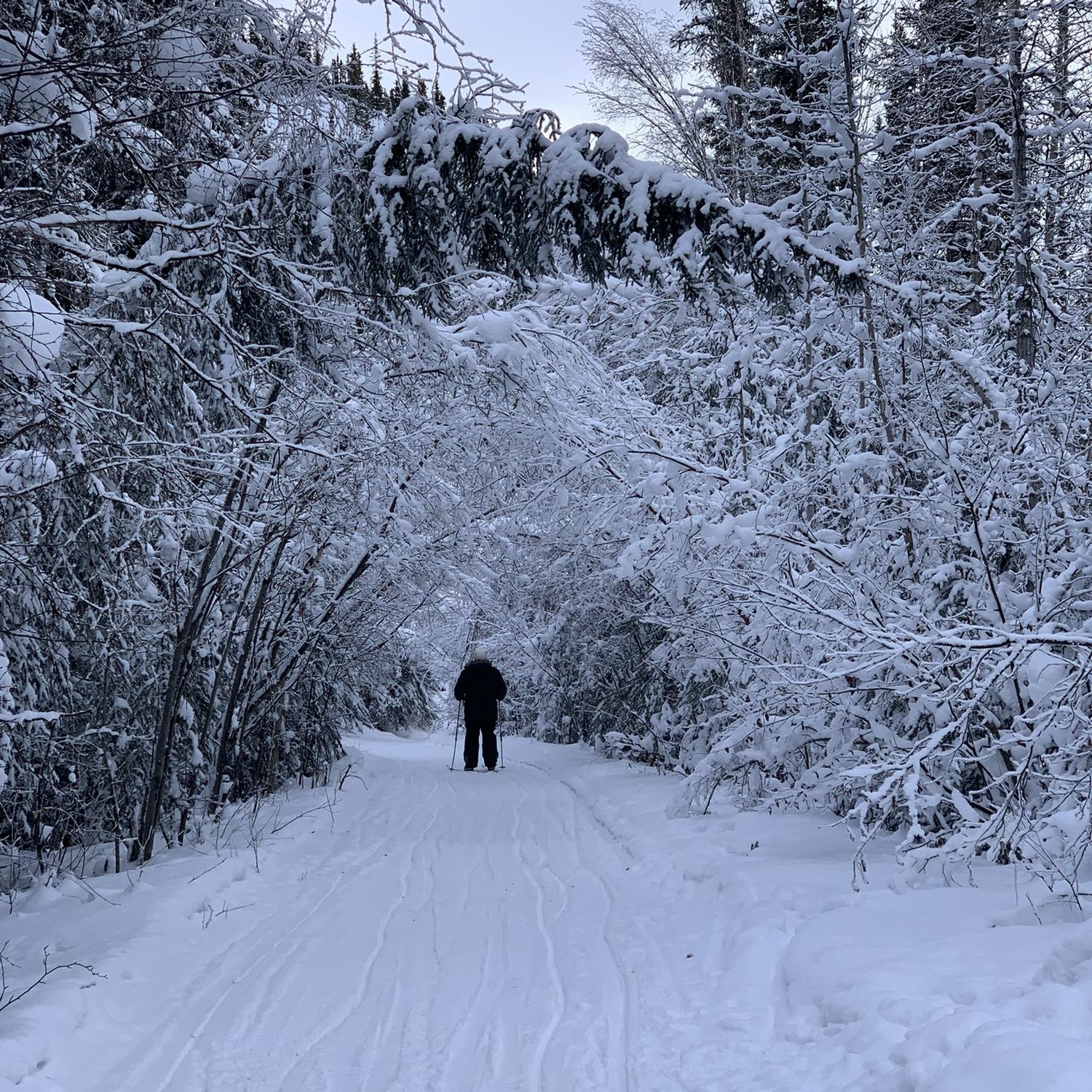 Cross country skiing.