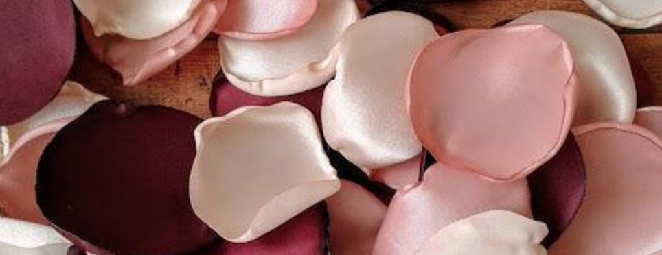 The Wedding Website of Katie DiVittorio and Luke Boswell