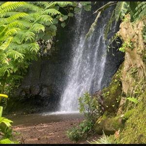 Tahiti Waterfall ATV Tour