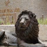 Lincoln Park Zoo