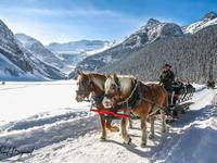 Horse drawn sleigh