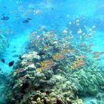 Hanauma Bay Nature Park