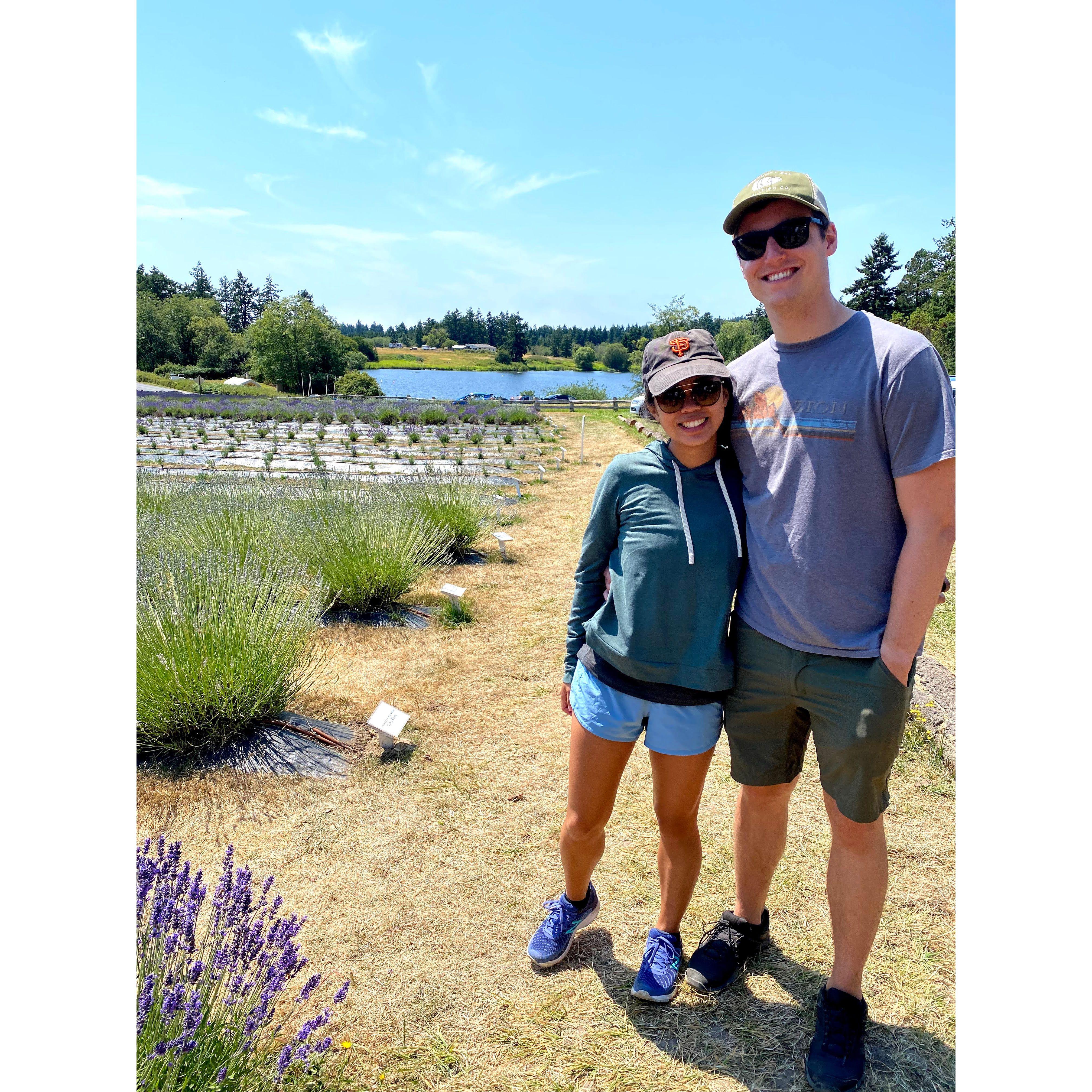 Pelindaba Lavender Farm | July 2021