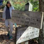 High Knob Fire Tower Lookout