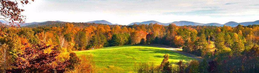 The Wedding Website of Adam Tapley and Lauren Kamin