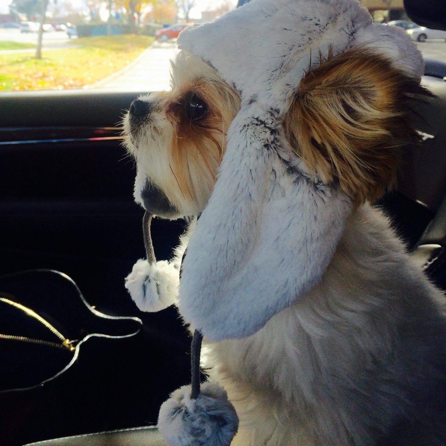 BeBe headed to Tahoe Ski Weekend
