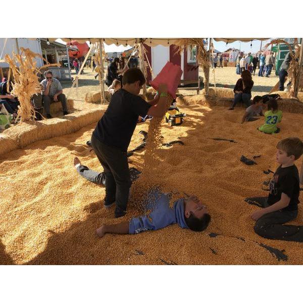 Our first family trip to the pumpkin patch. It's an annual tradition. Justin and Jason are burying Step Dad Gavin in dried corn.