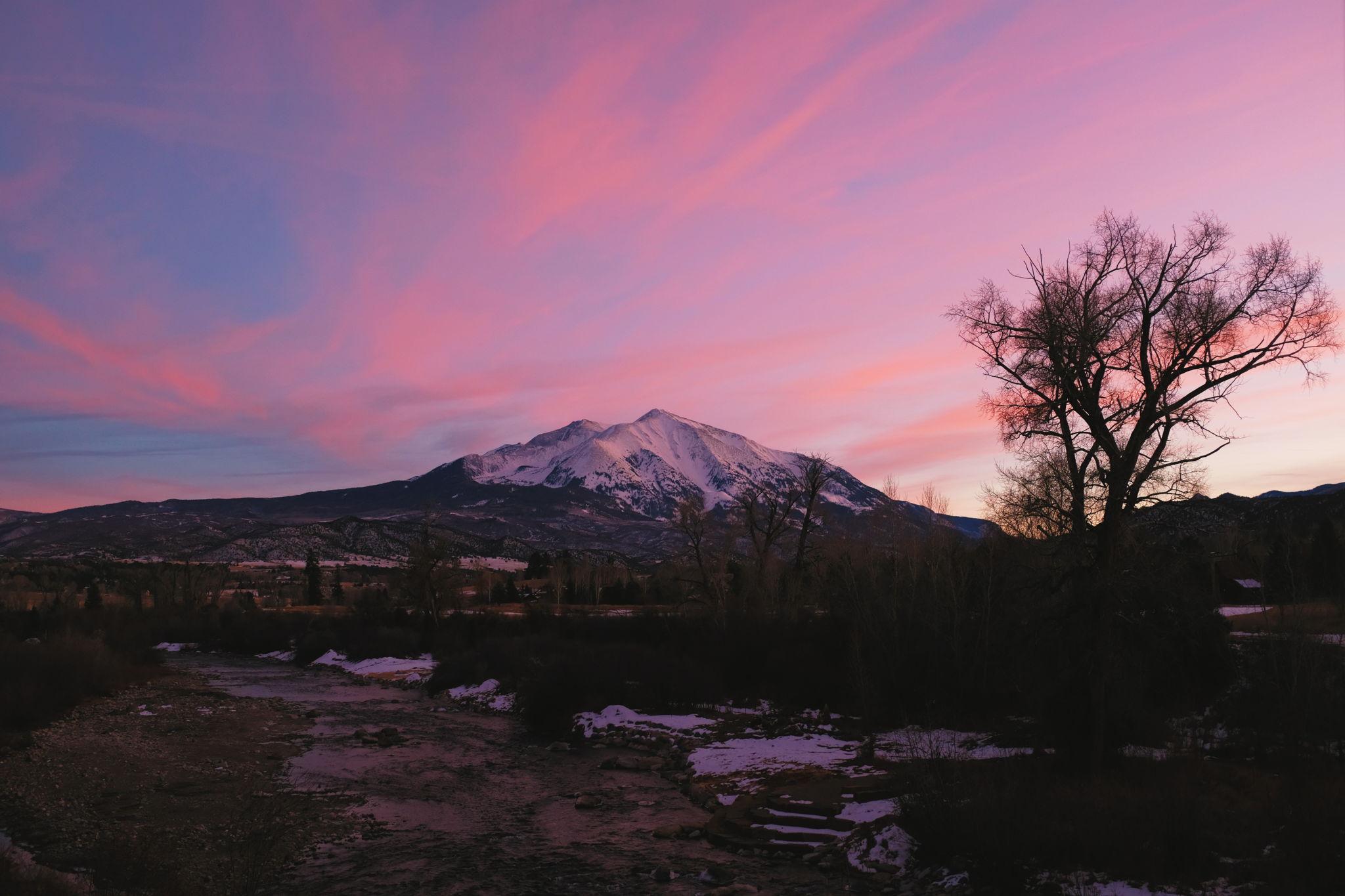 The Wedding Website of Shelby Holmes and Cheyn Roux