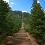 The Incline