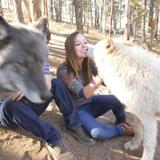 Colorado Wolf and Wildlife Center