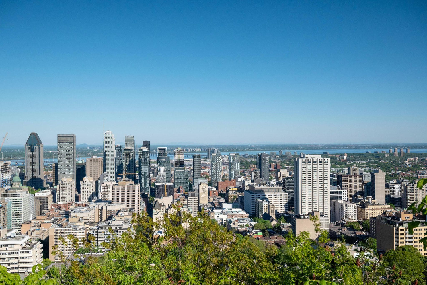 The Wedding Website of Olivia Davies and Patrick Boivin