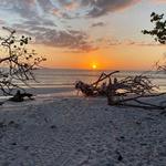 Delnor Wiggins State Park