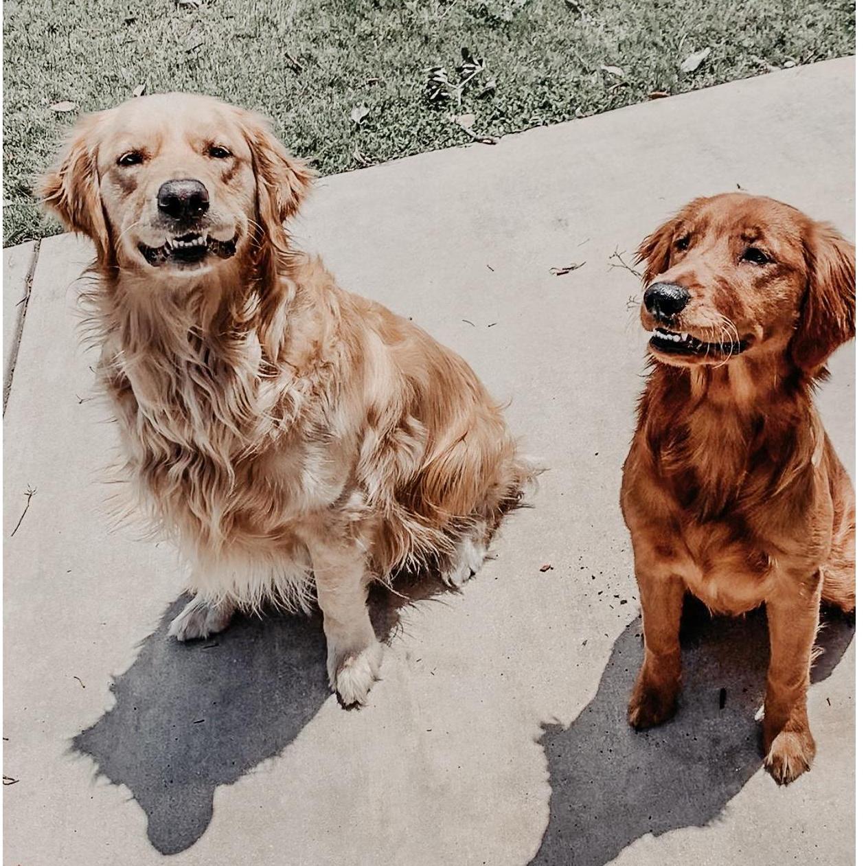 We got our second dog, Nike. Smiling for pup-cakes on Parker's 3rd birthday.