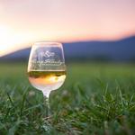 Visit a winery