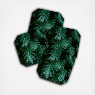 Tropical Paradise Vibes Coaster, Set of 4