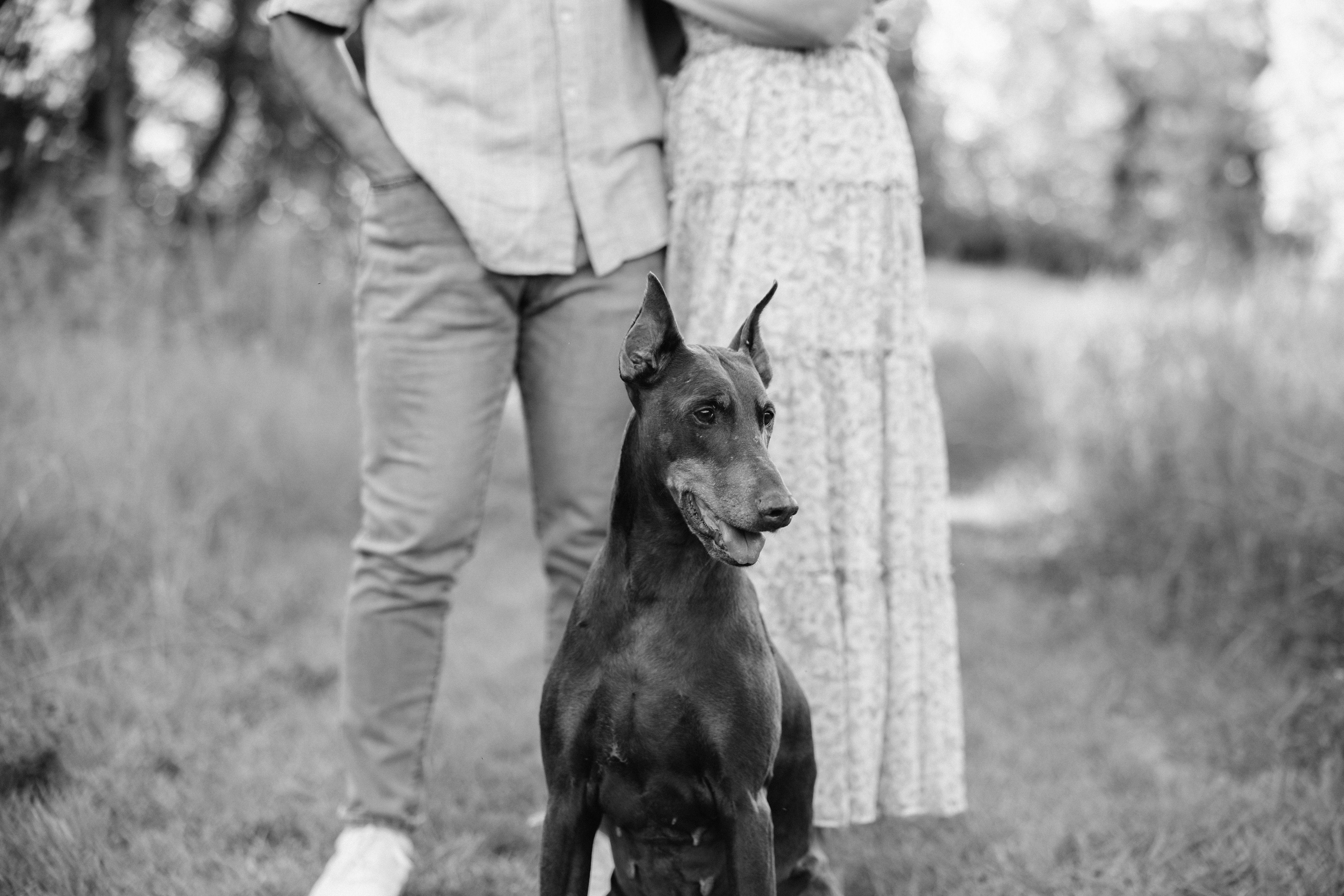 The Wedding Website of Miranda Moore and Michael Vieceli