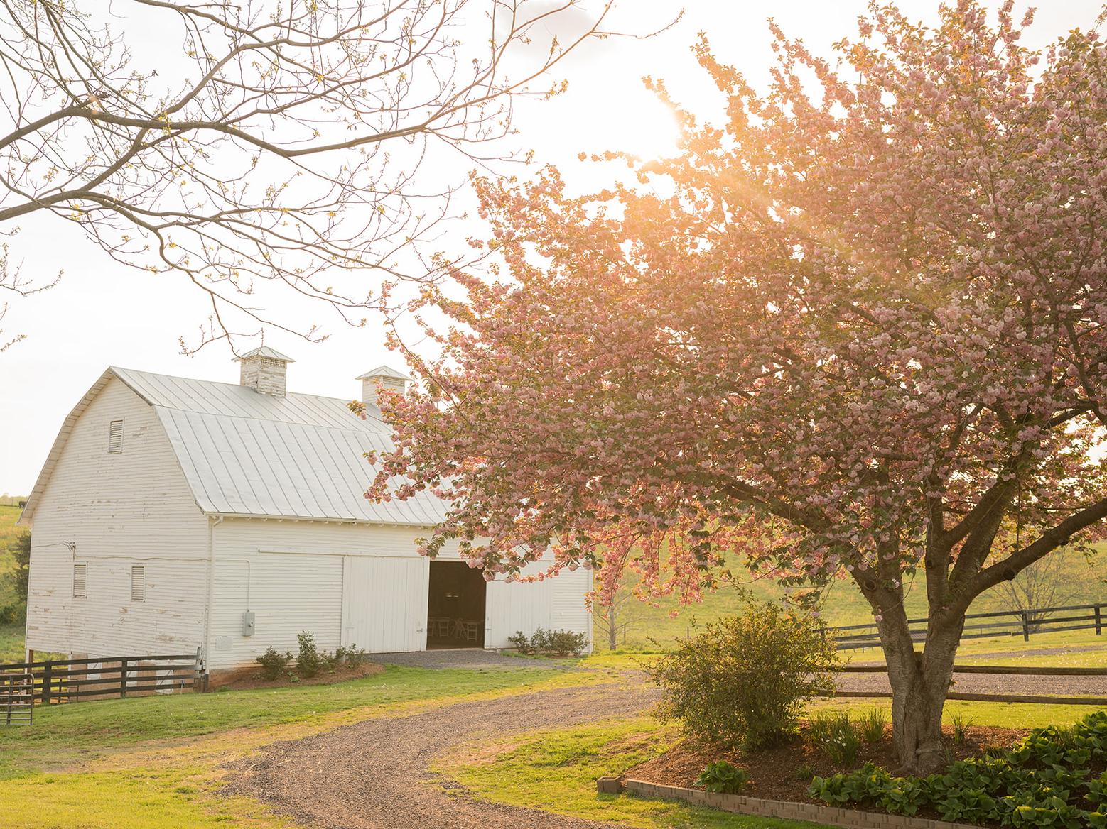 The Wedding Website of Kristin Mills and Michael Olten
