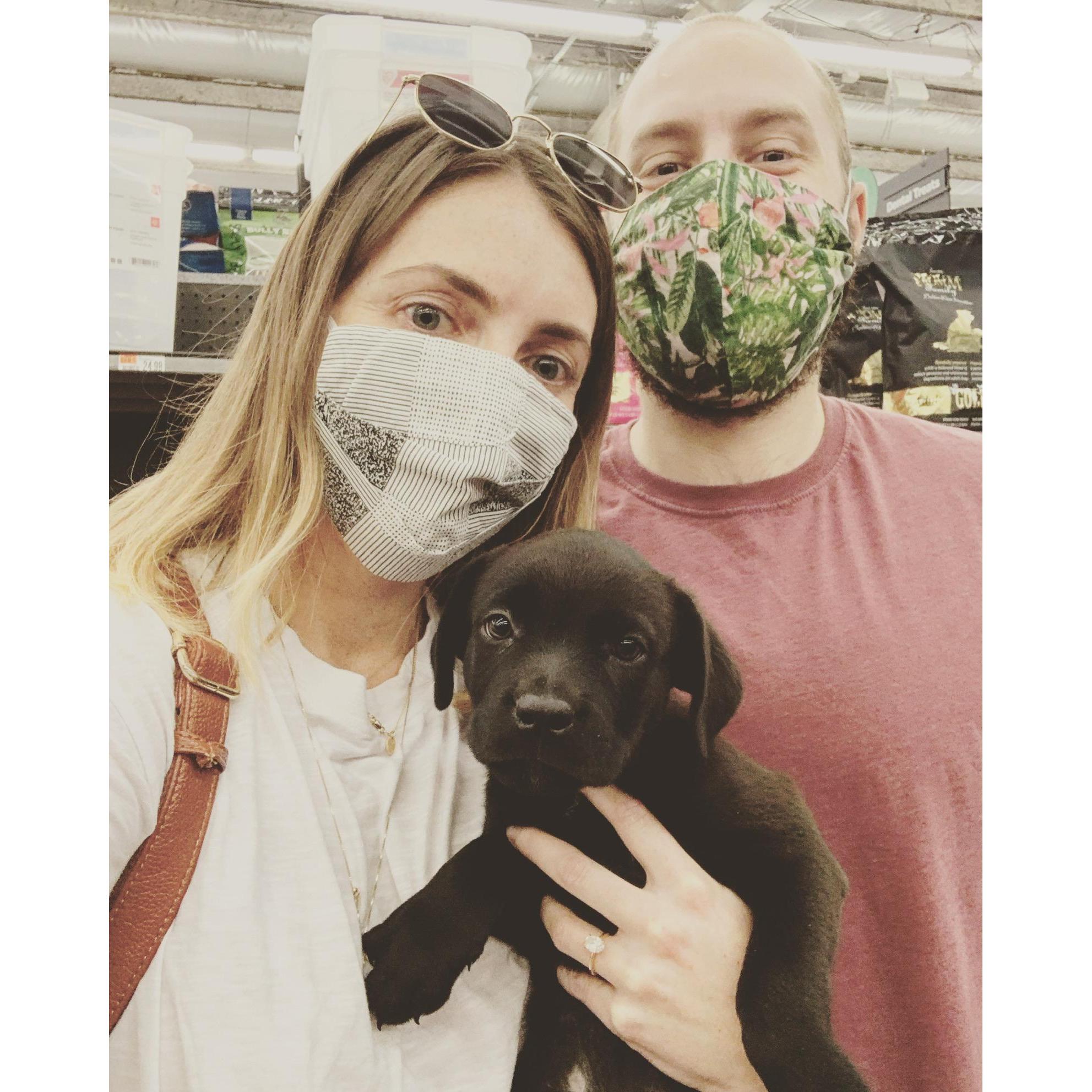 When we adopted Mac ❤️