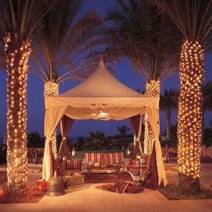 Arabian Nights Honeymoon Fund