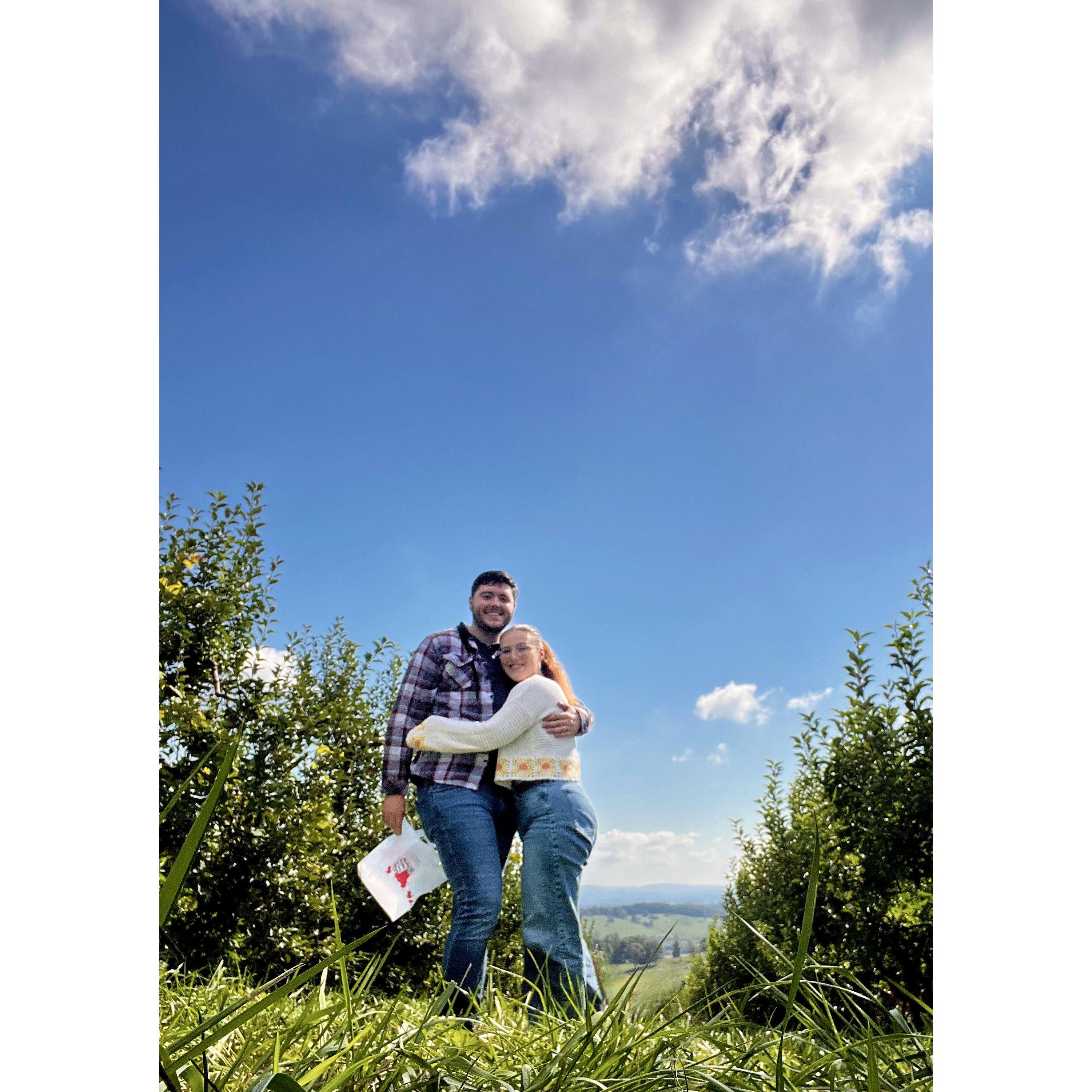 Apple picking!