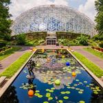 Missouri Botanical Garden