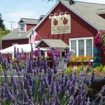 E.Z. Orchards Farm Market